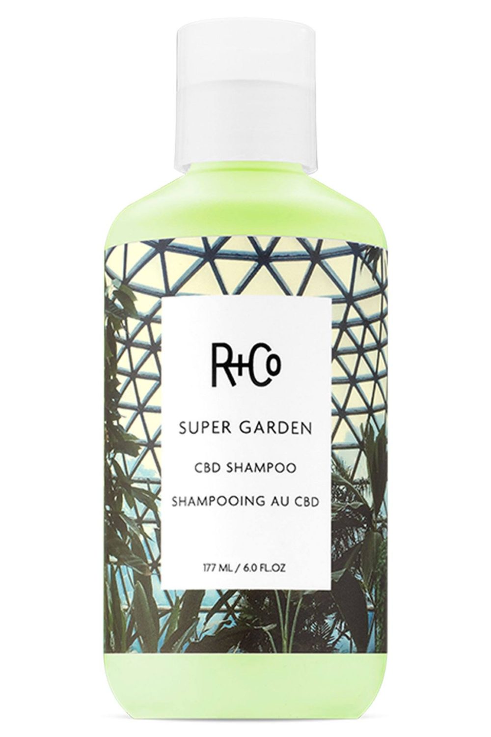 R+CO | Super Garden CBD Shampoo on Sale